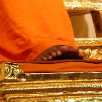 20100808_Photo_1029_DSC_6882_CMP_WM